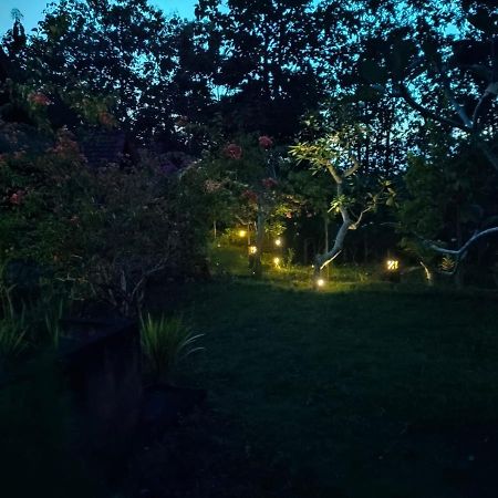 Bougainvillea Bungalow Batumadeg Esterno foto